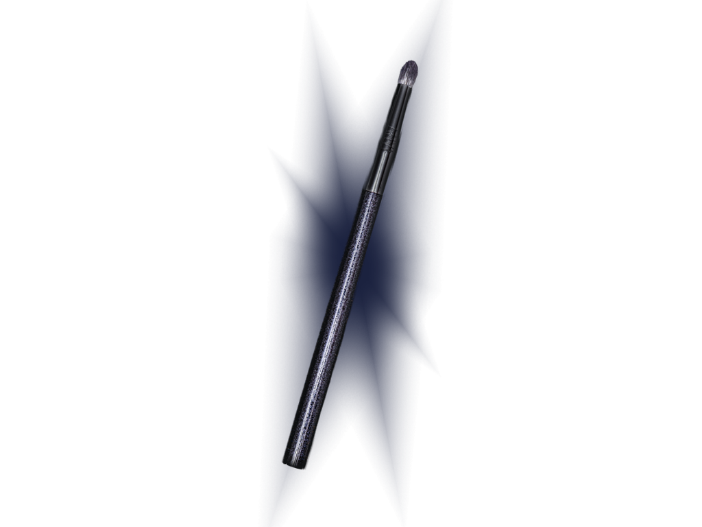 Precision Eye Brush